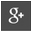 Themes/Mystic/images/gplus.png