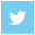 Themes/Mystic/images/twitter.png